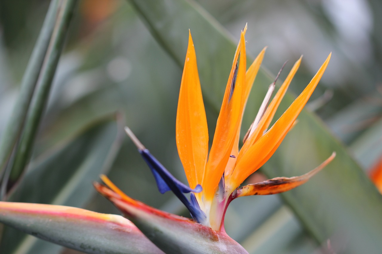 上海餐饮创新融合绿色发展潮流的最新动态