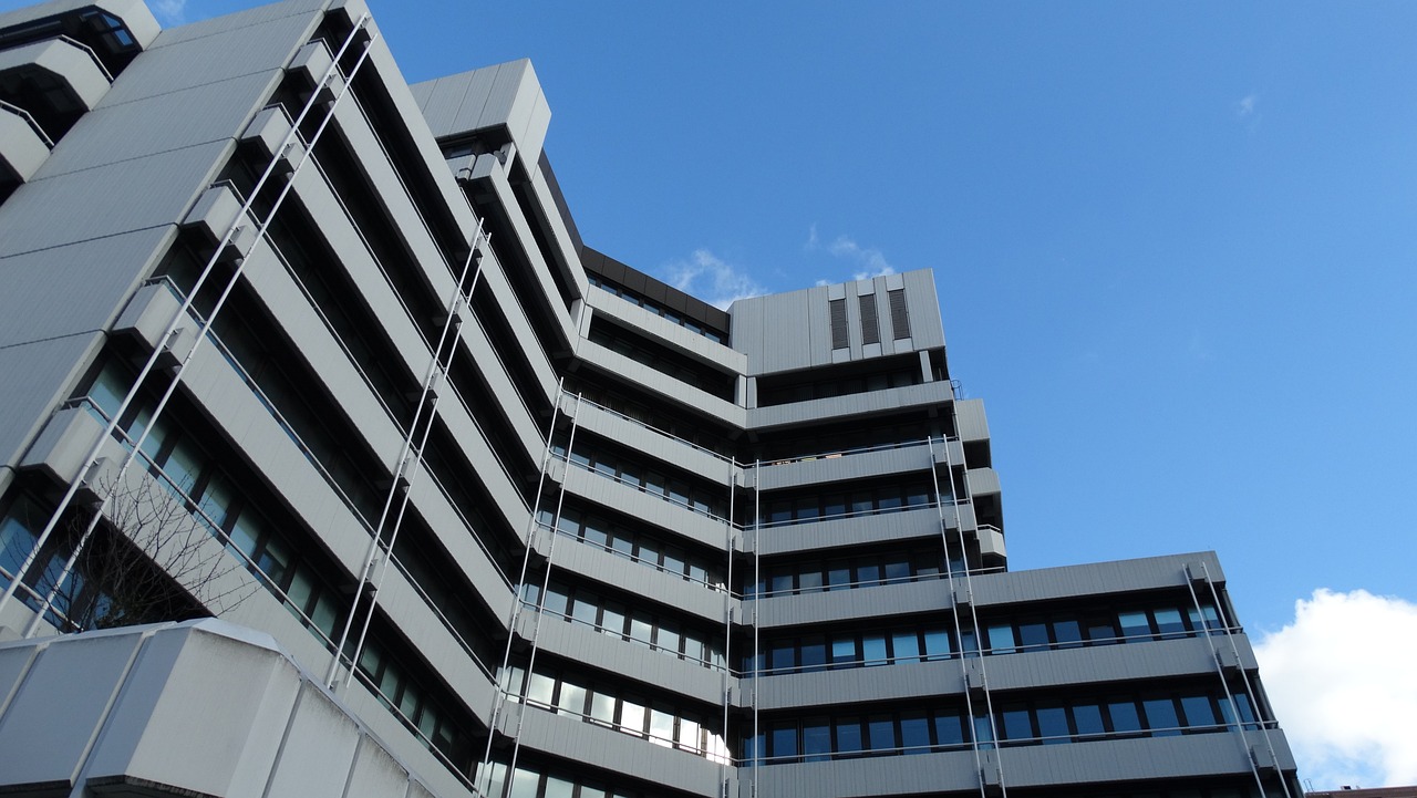 蛋壳维权最新政策解析及其影响概览