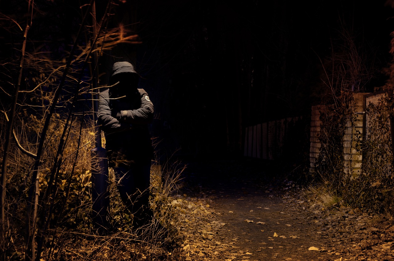 双男主剧最新推荐深度解析，热门剧集魅力一网打尽