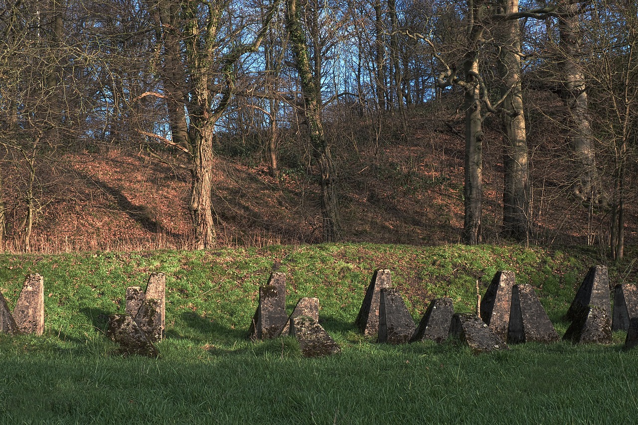 满洲里疫情最新动态，严防严控，守护边疆小城安全防线