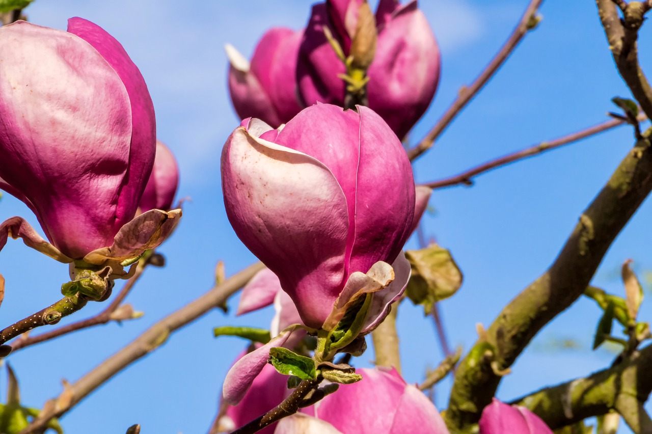 2024年11月 第10页