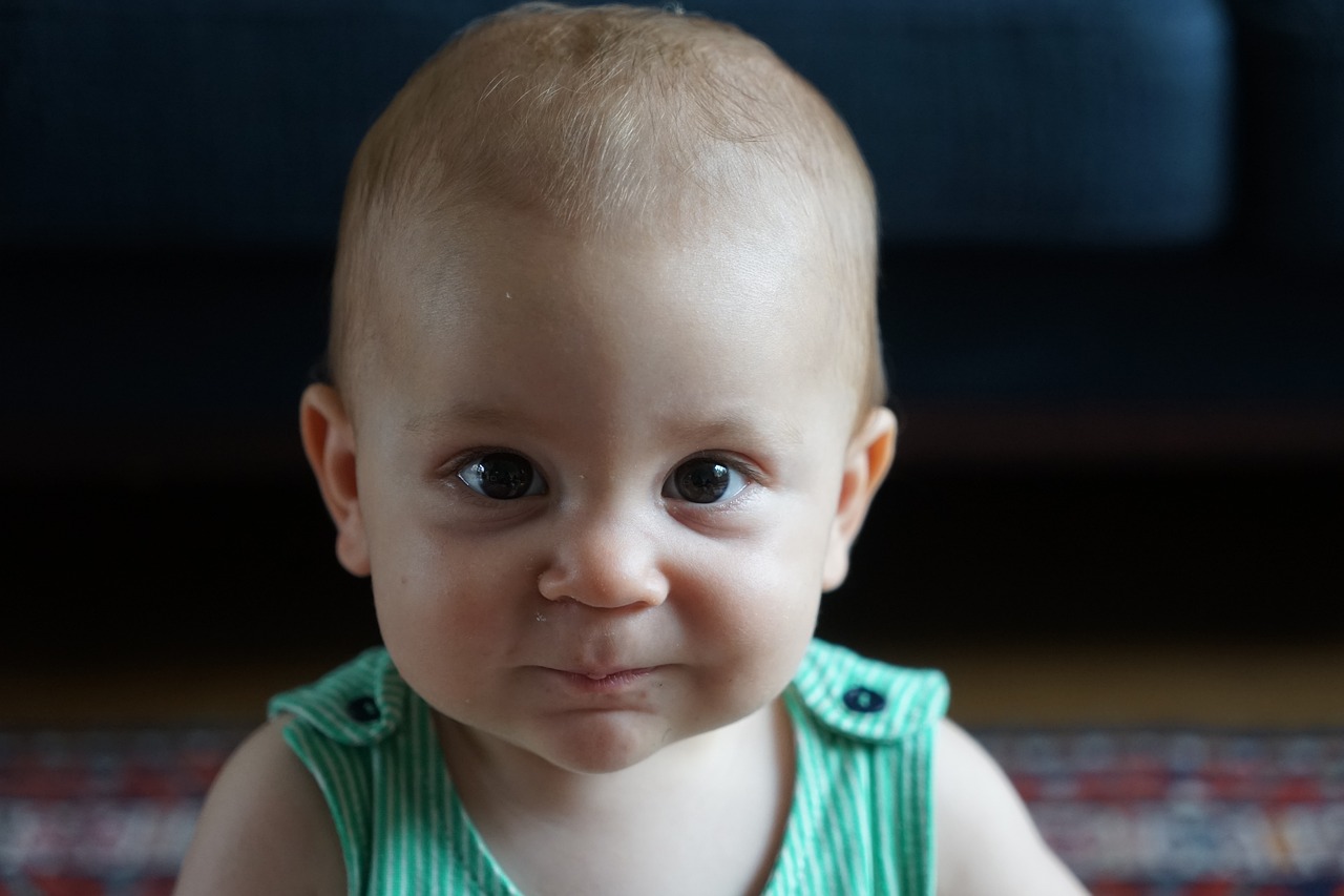 石膏娃娃史迪仔，最新魅力与独特故事的探索