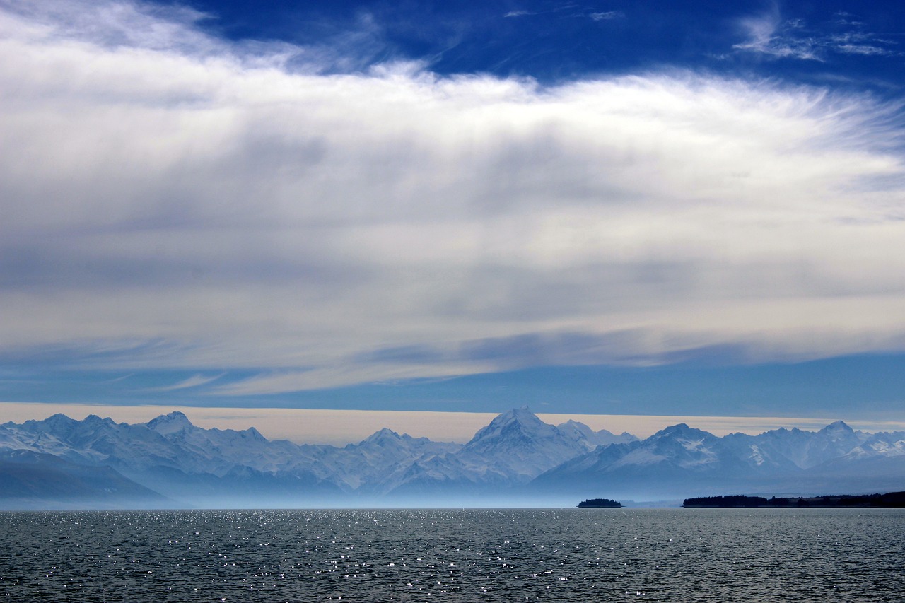 岁宝百货最新动态，创新转型与未来发展之路展望