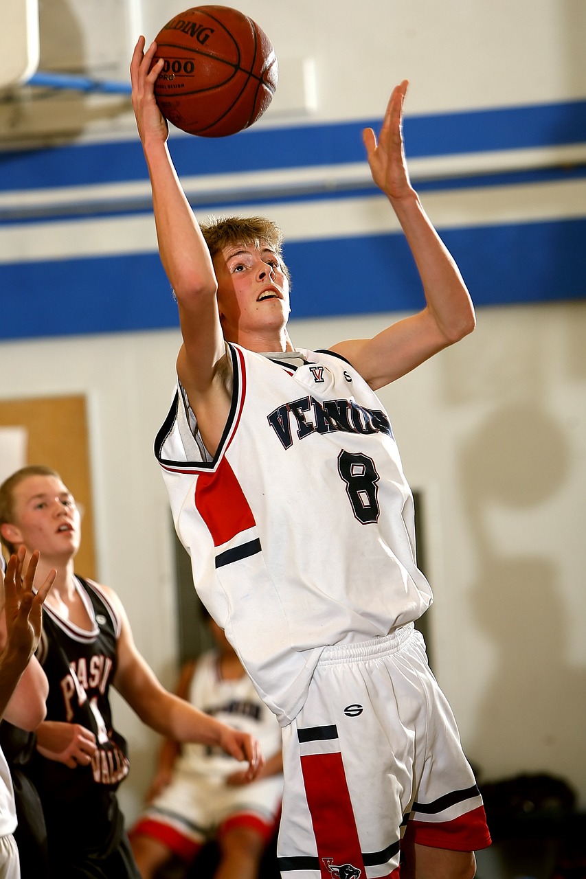 美国大选最新动态，重塑未来的角逐战