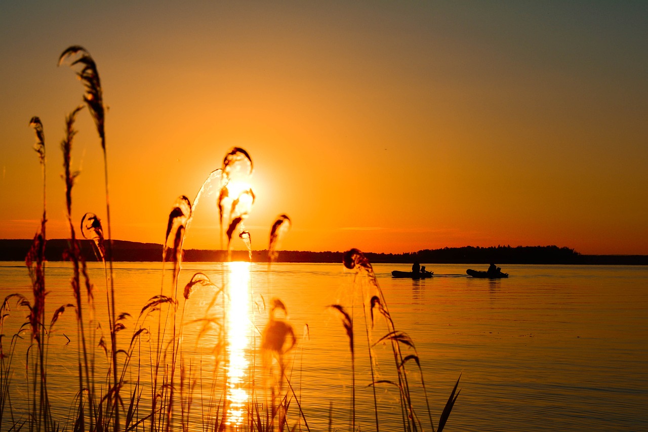 广州最新疫情动态更新，全力应对，共守家园安宁