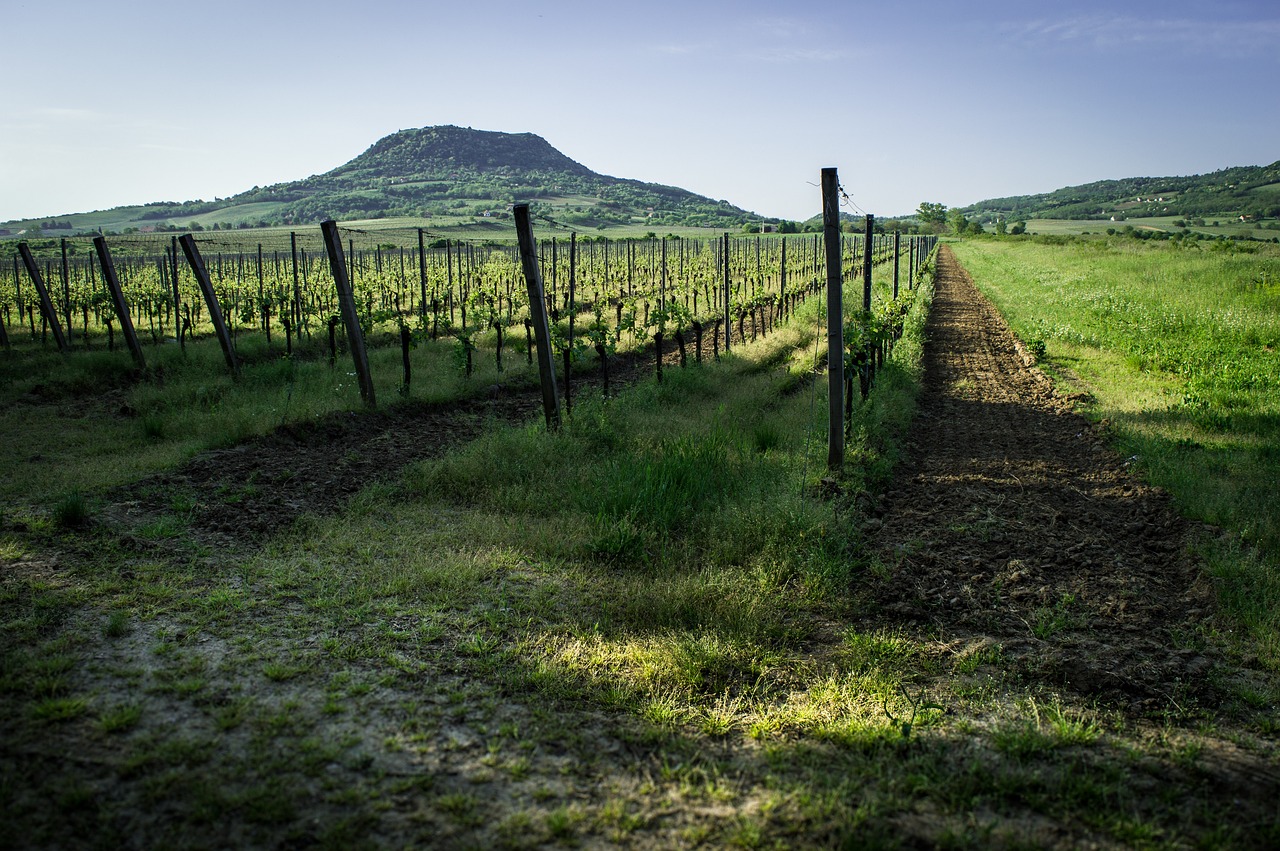 九号电动车最新动态，引领电动出行新潮流