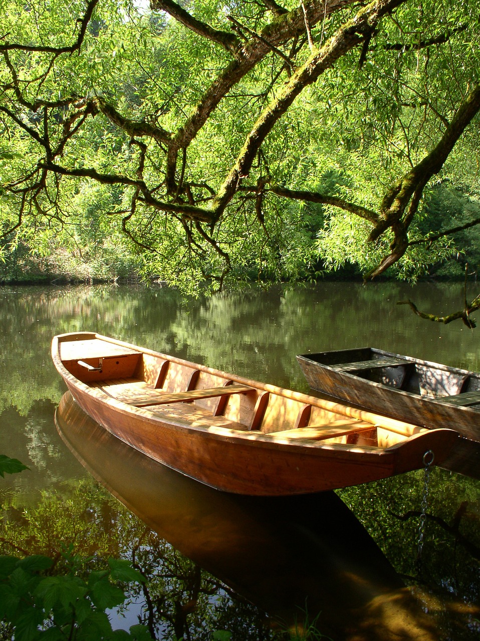 努尔白克力最新动态与热议话题聚焦，影响与热议热议分析