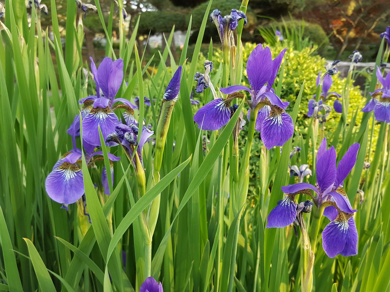 天津疫情肺炎最新动态更新