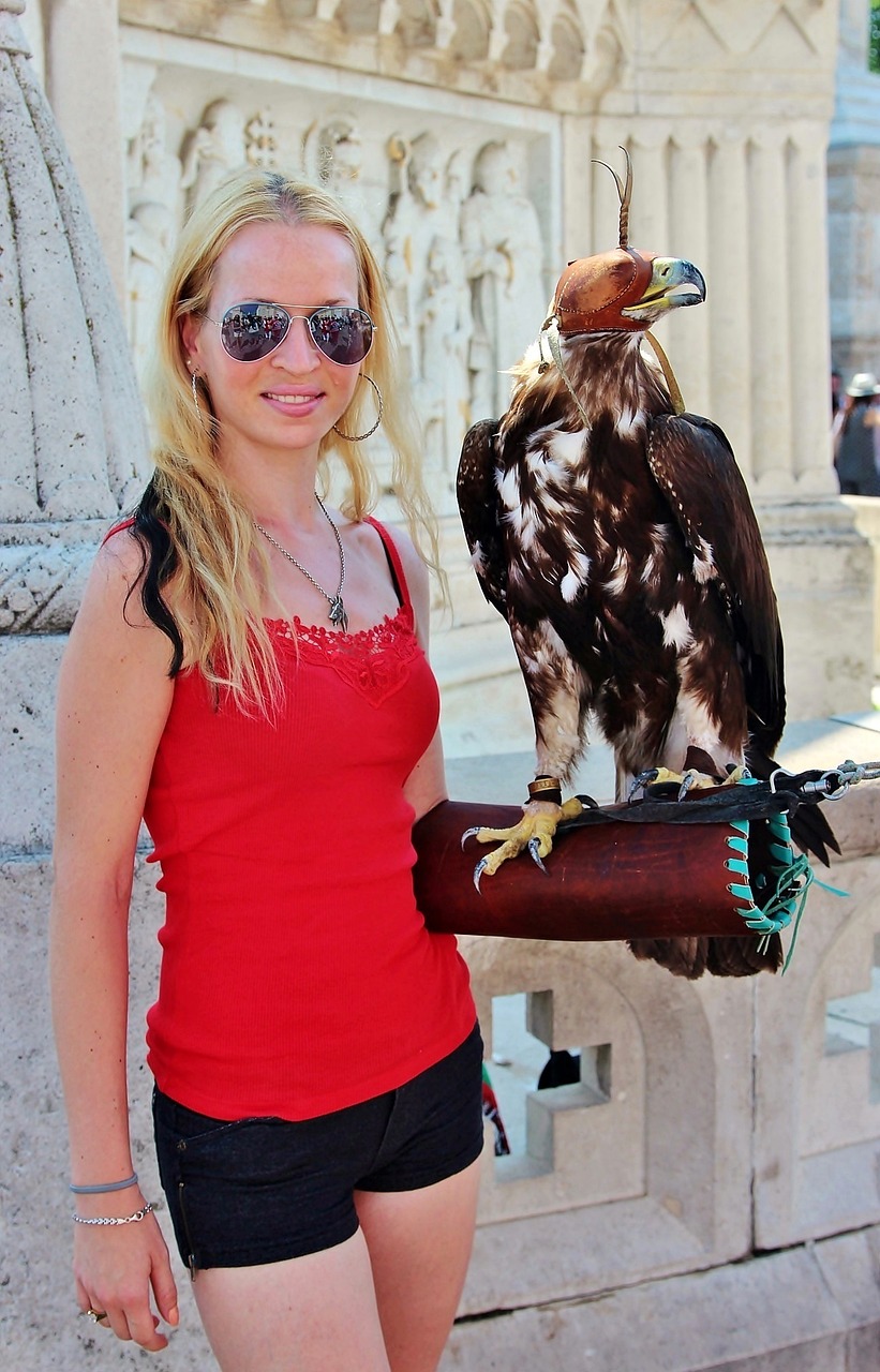 巴西疫情最新动态，挑战、应对策略全面解析