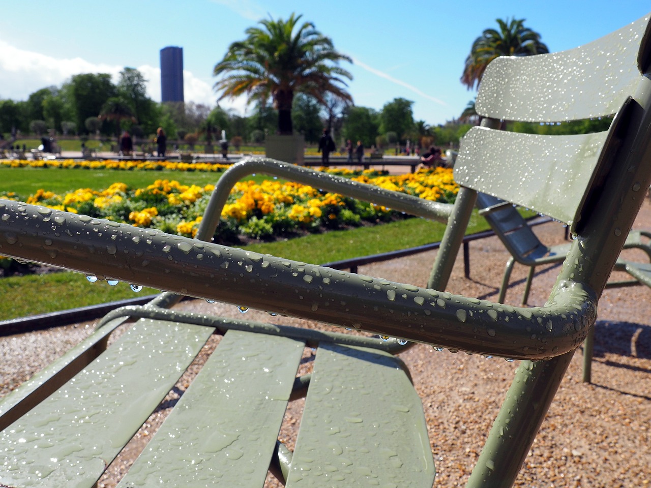 衡阳公园新颜焕发，引领城市绿色生活最新动态