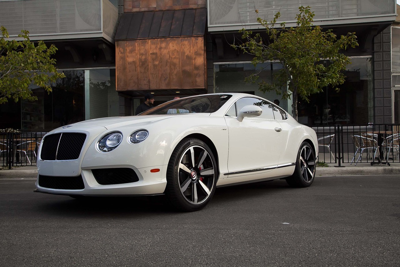 福建外援劳森最新动态,赛场明星闪耀篮球舞台