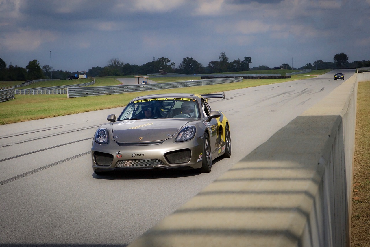 云南迪庆最新动态，发展与保护共舞的和谐篇章