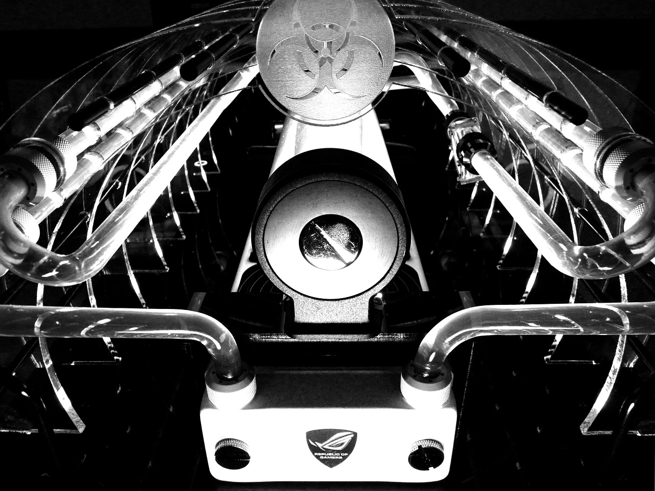 吉林省考最新消息详解，最新动态与资讯汇总