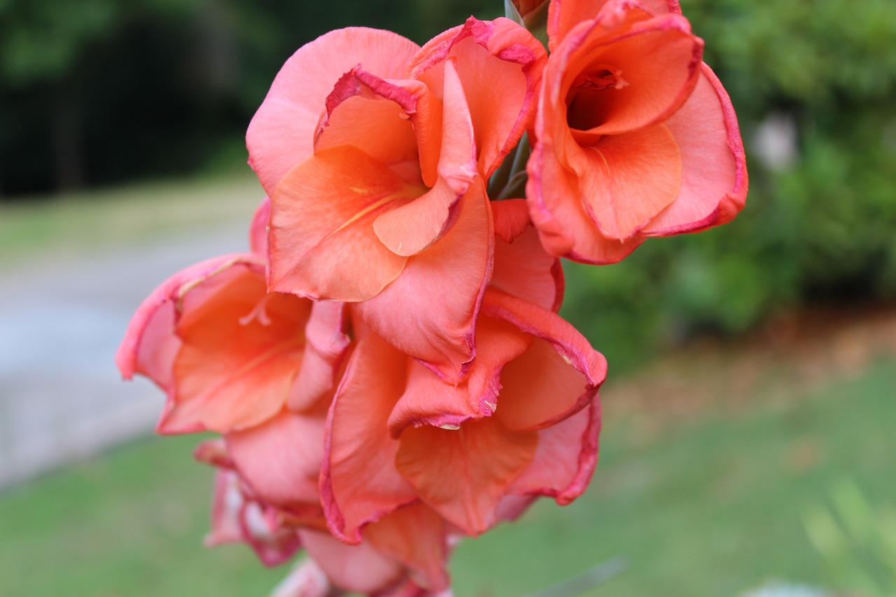 女演员程潇最新动态，闪耀之星，未来可期之路