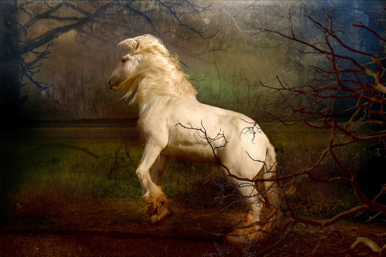 浅色夏沫 第34页