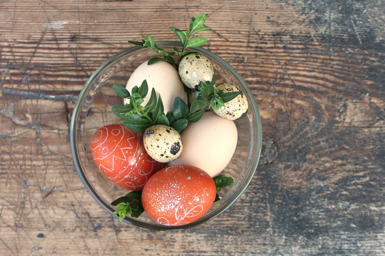 国内大事件回顾，最新动态与进展 2019年概览