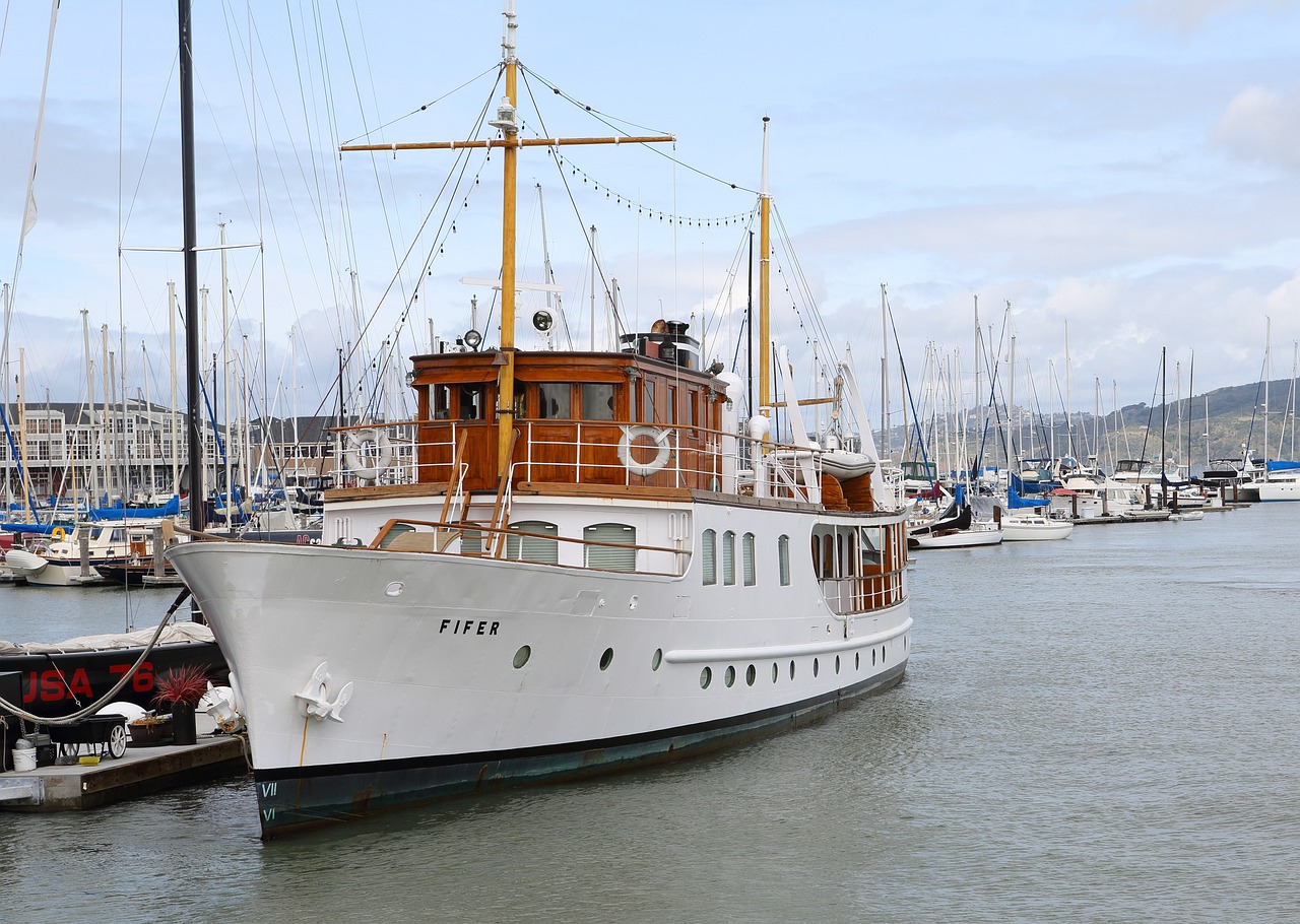 国内大事件回顾,最新动态与进展 2019年概览