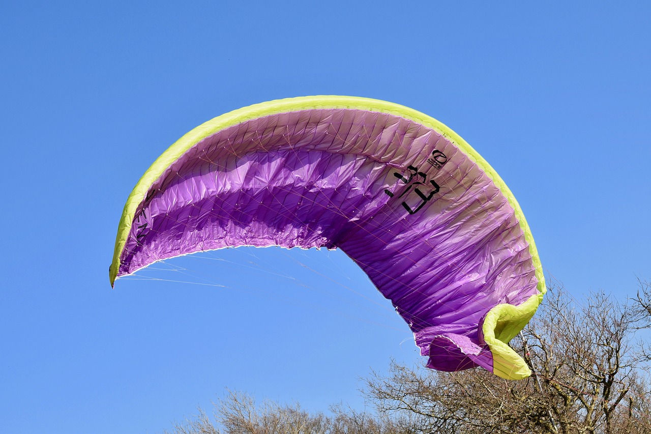 黄道龙最新动态揭秘,未知面纱背后的崭新风采