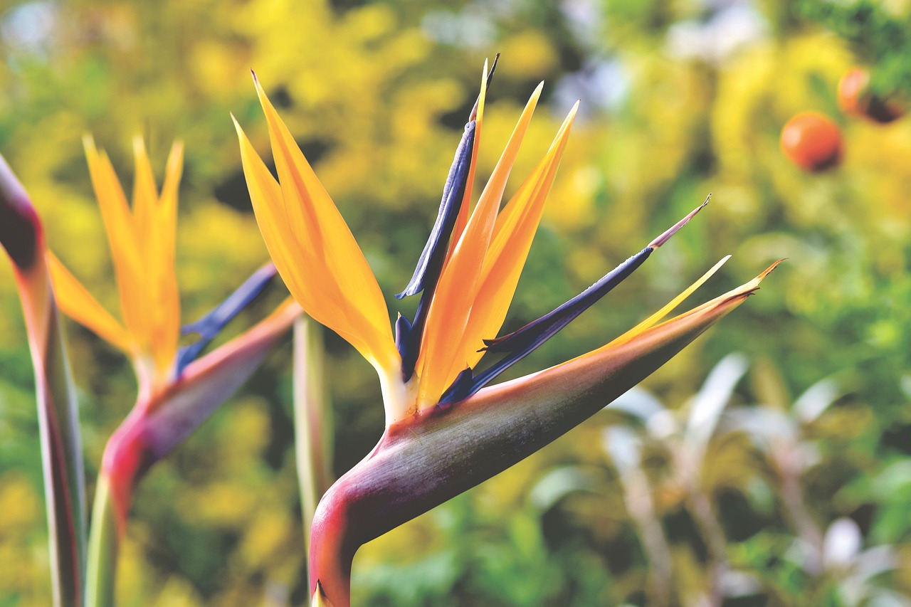 最新九号台风路径分析，风暴动态及潜在影响