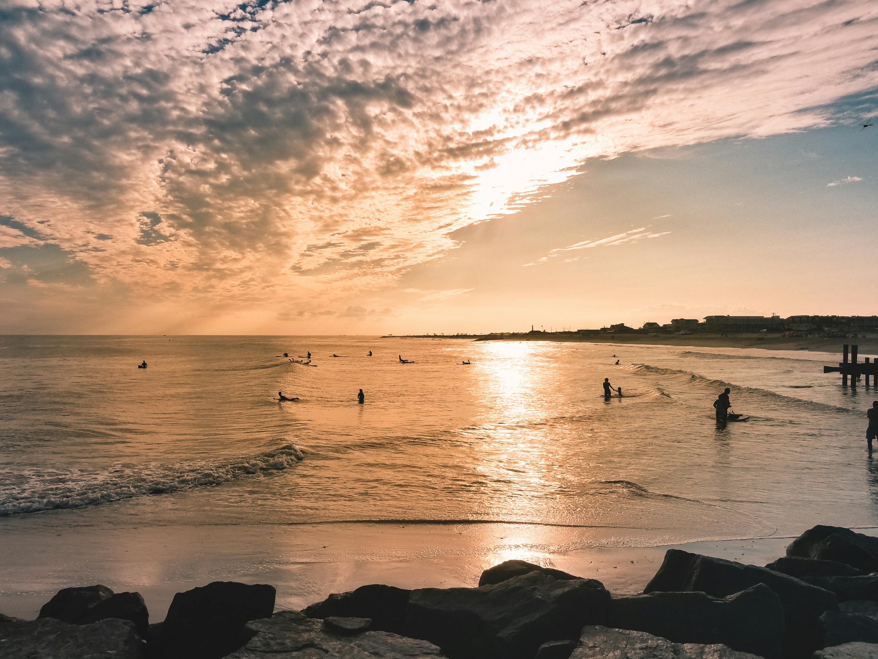 全国猪价最新行情动态与预测分析