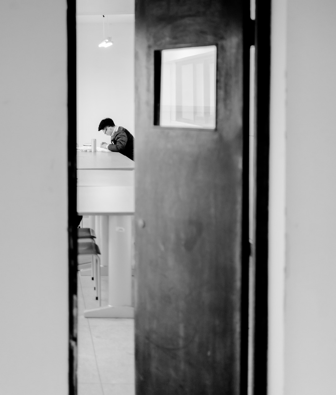 尼康Z系列最新动态深度解析，揭秘最新消息与进展