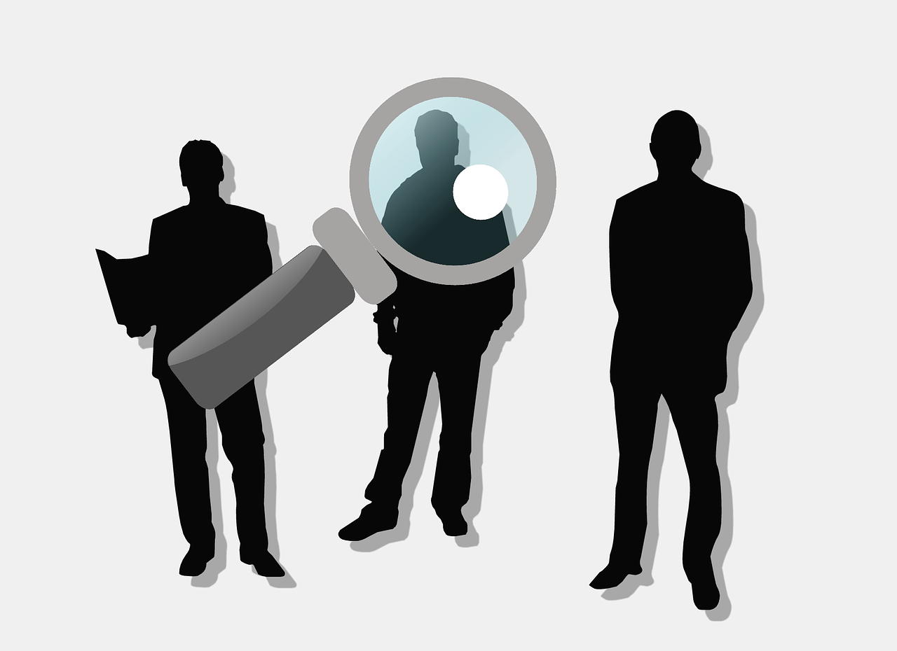 尼康Z系列最新动态深度解析,揭秘最新消息与进展