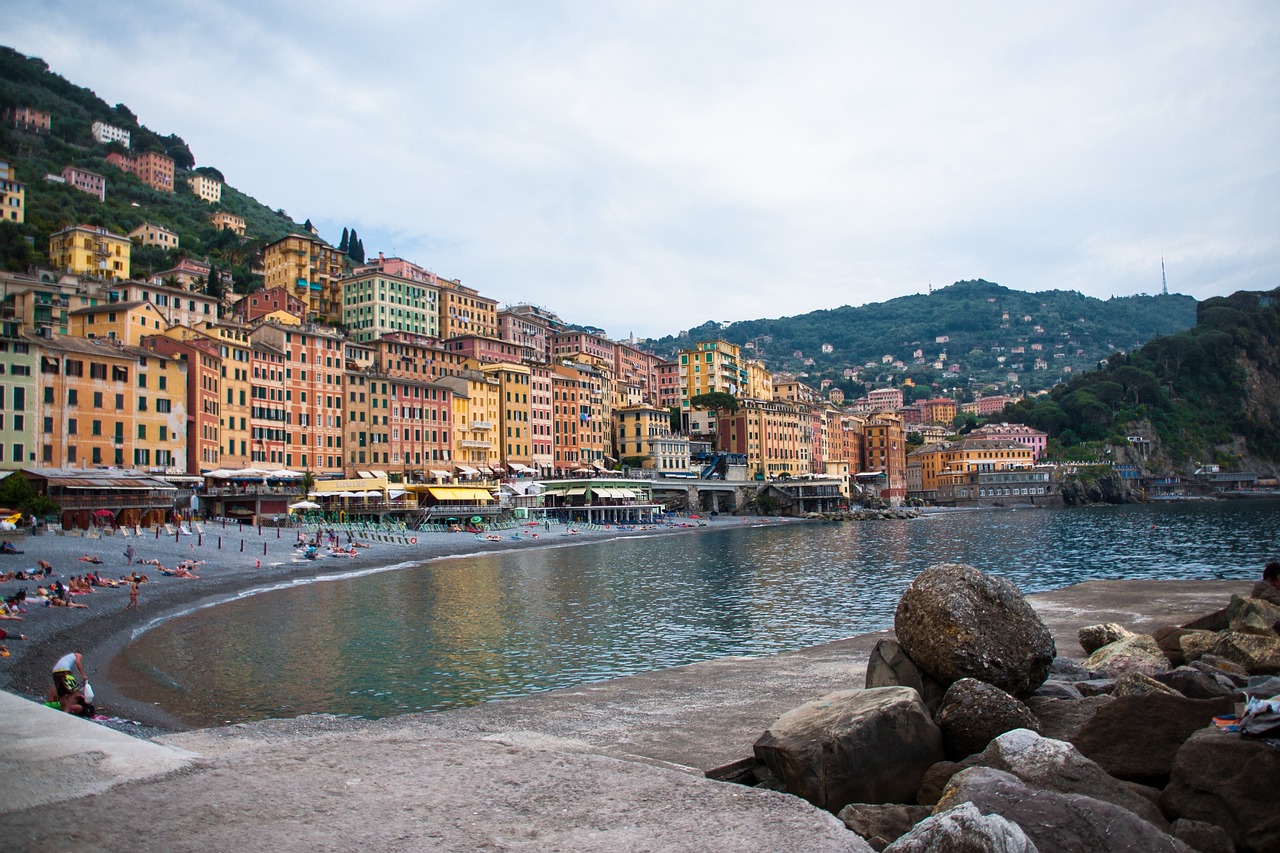 新疆疫情最新动态，天山网信息报告汇总