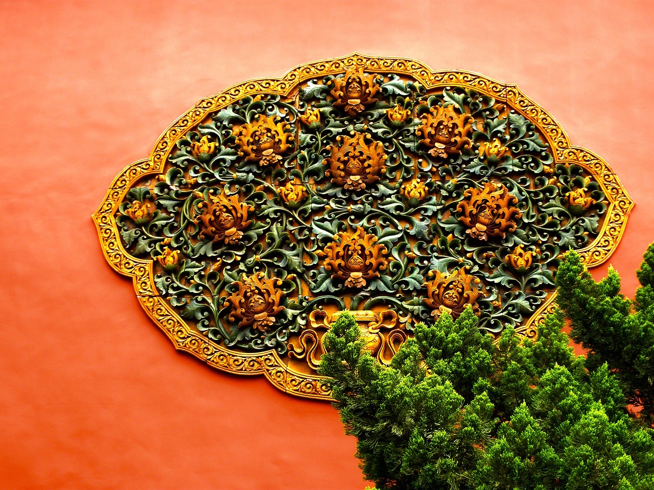 泰国疫苗最新动态,进展、挑战与未来展望