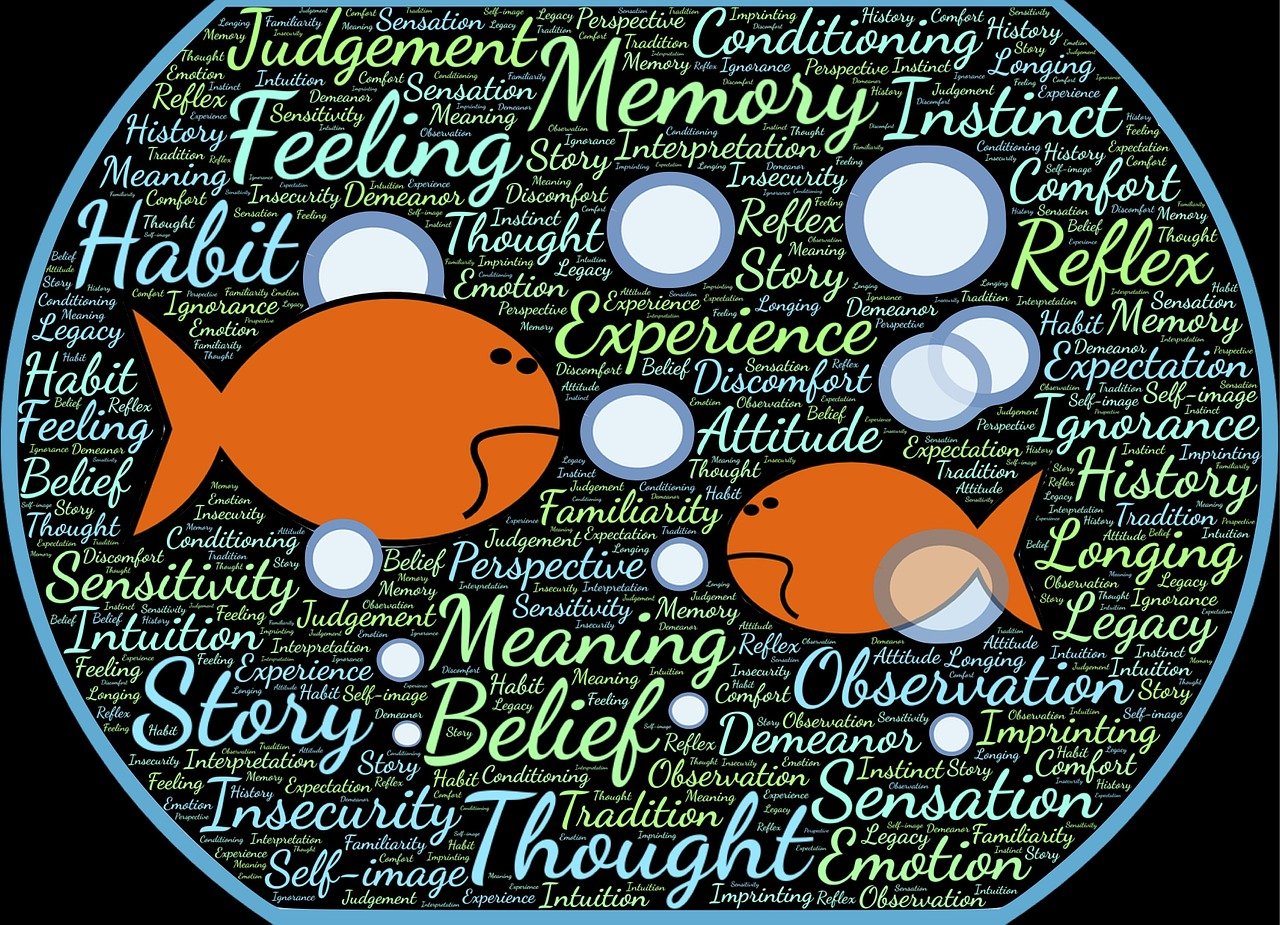 2021年星座运势概览,最新星座运势解析