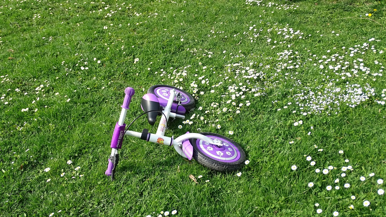 中级经济师考试最新动态及备考策略指南