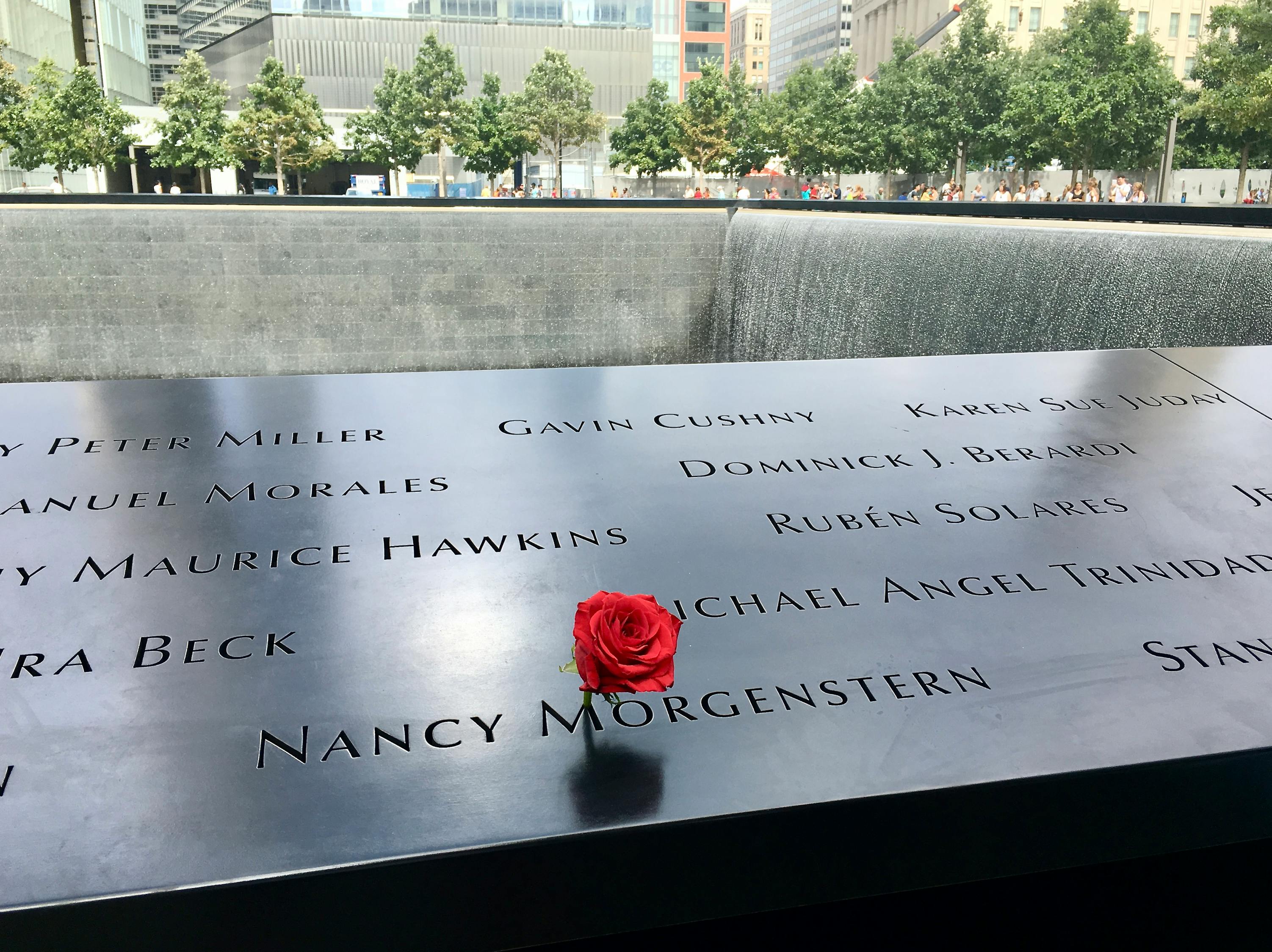 美国最新疫情消息深度解析及截至日期报告（截至XX月XX日）