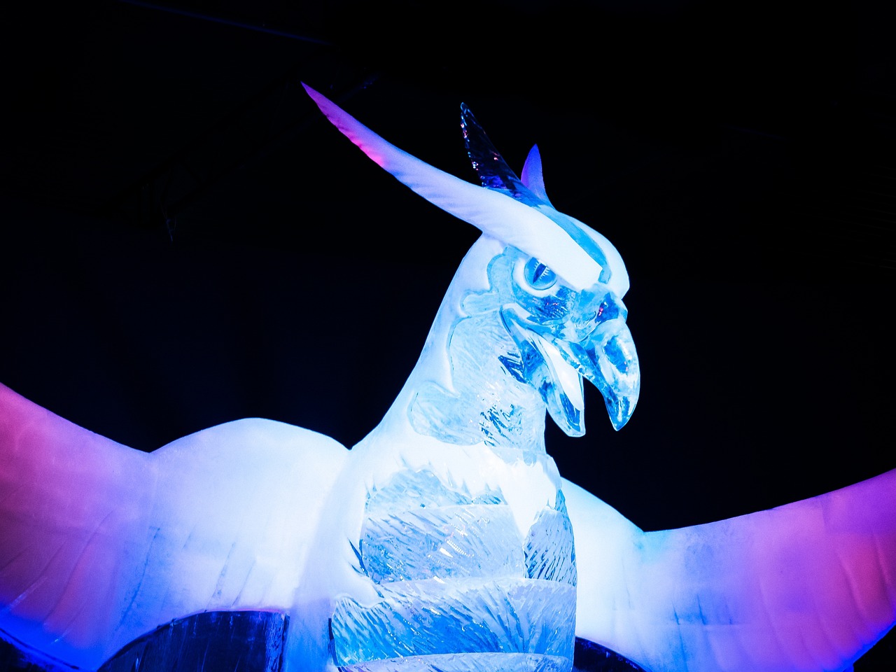 中国使馆最新动态，展现新时代外交风采的魅力