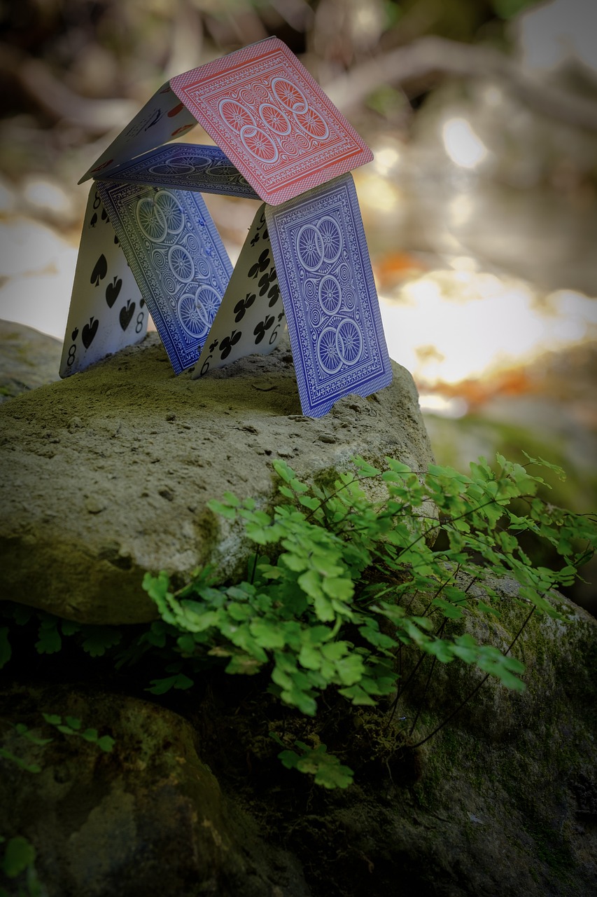 老婆大人有点拽，最新动态与揭秘