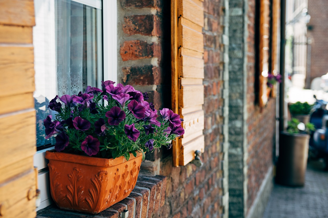 房屋征税最新动态,政策调整及影响分析