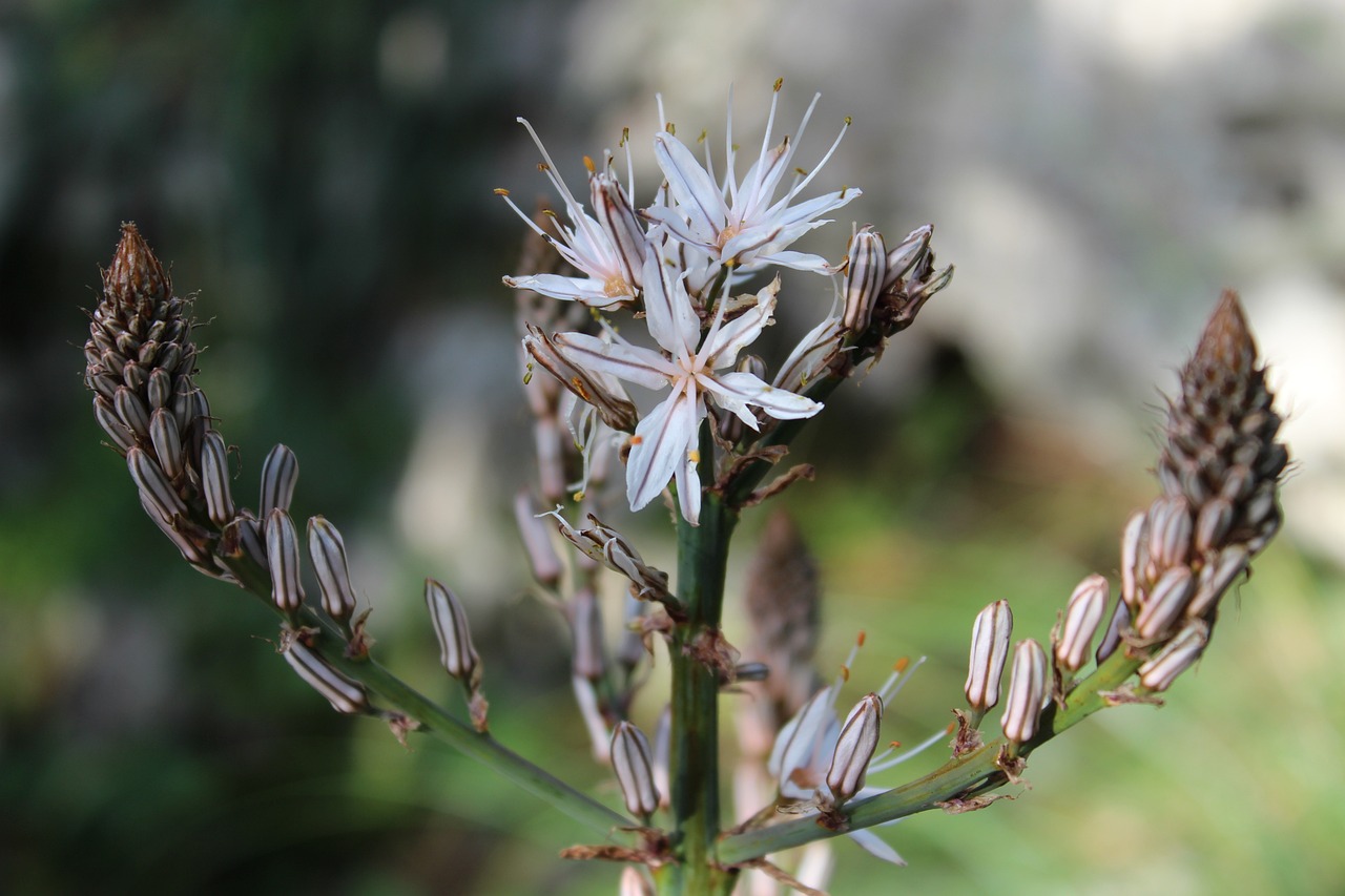 全球疫情最新动态，最新消息、全球视野与应对策略