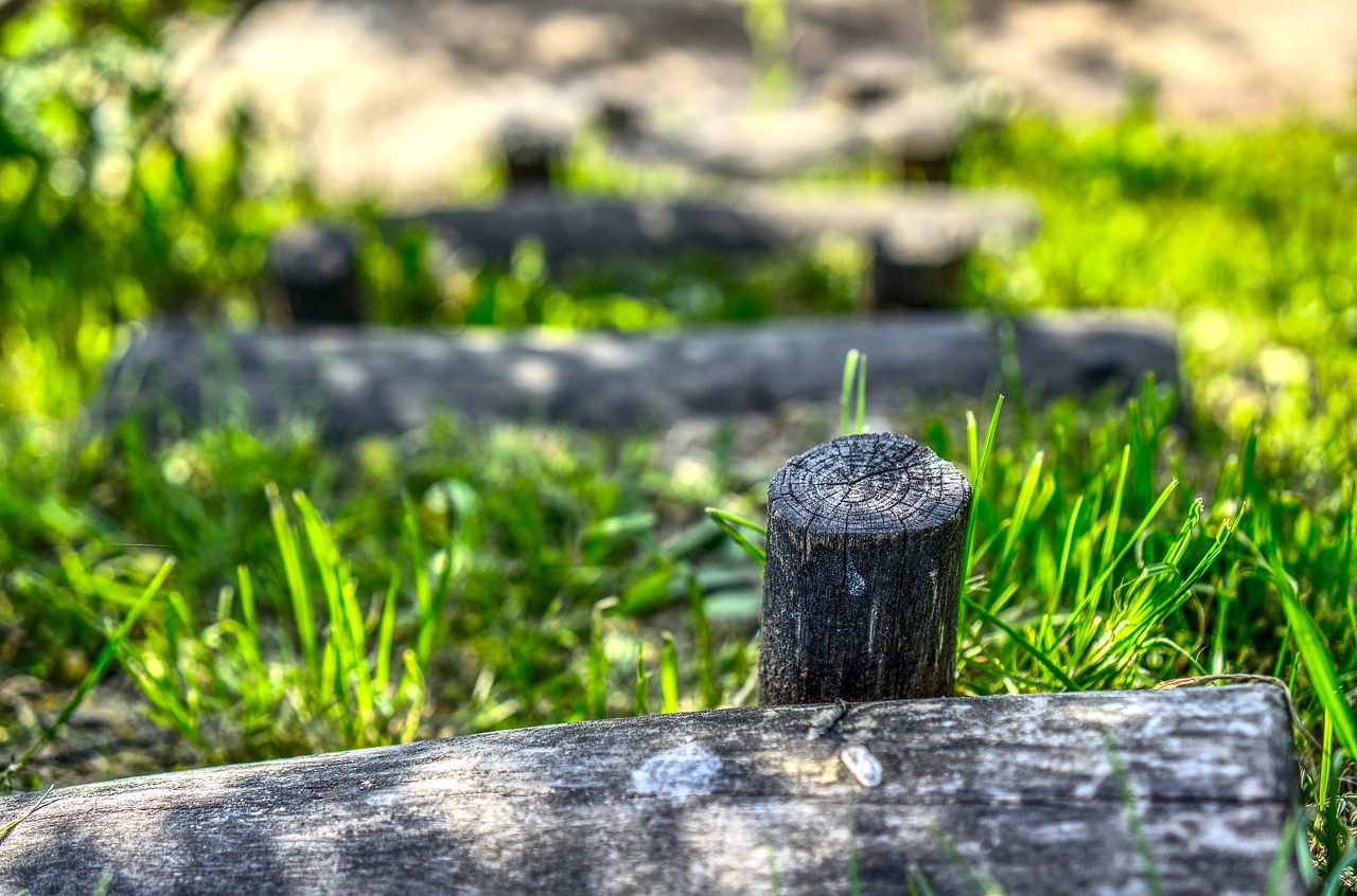 芳香的流年 第33页