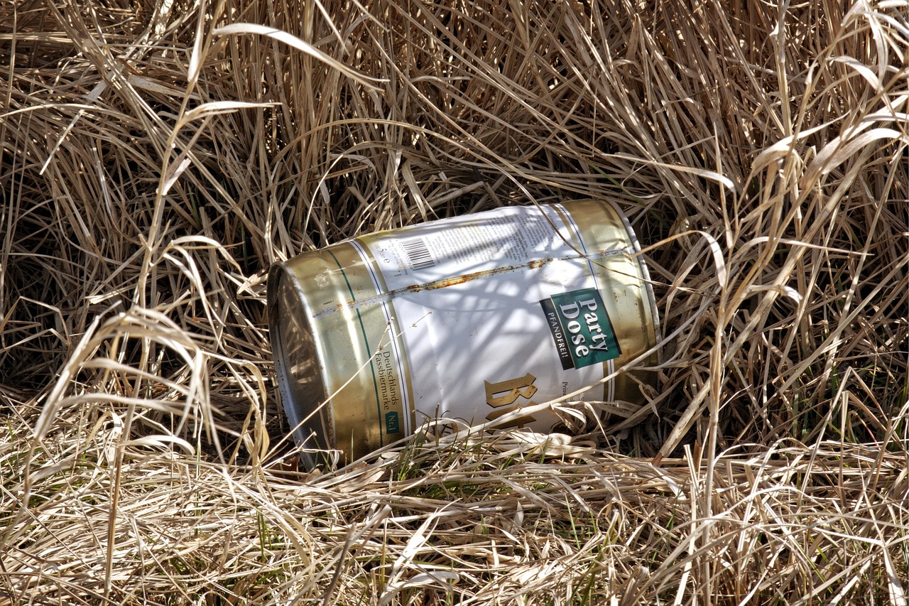 时事评论范文探讨与分析，聚焦时事热点，解读最新动态