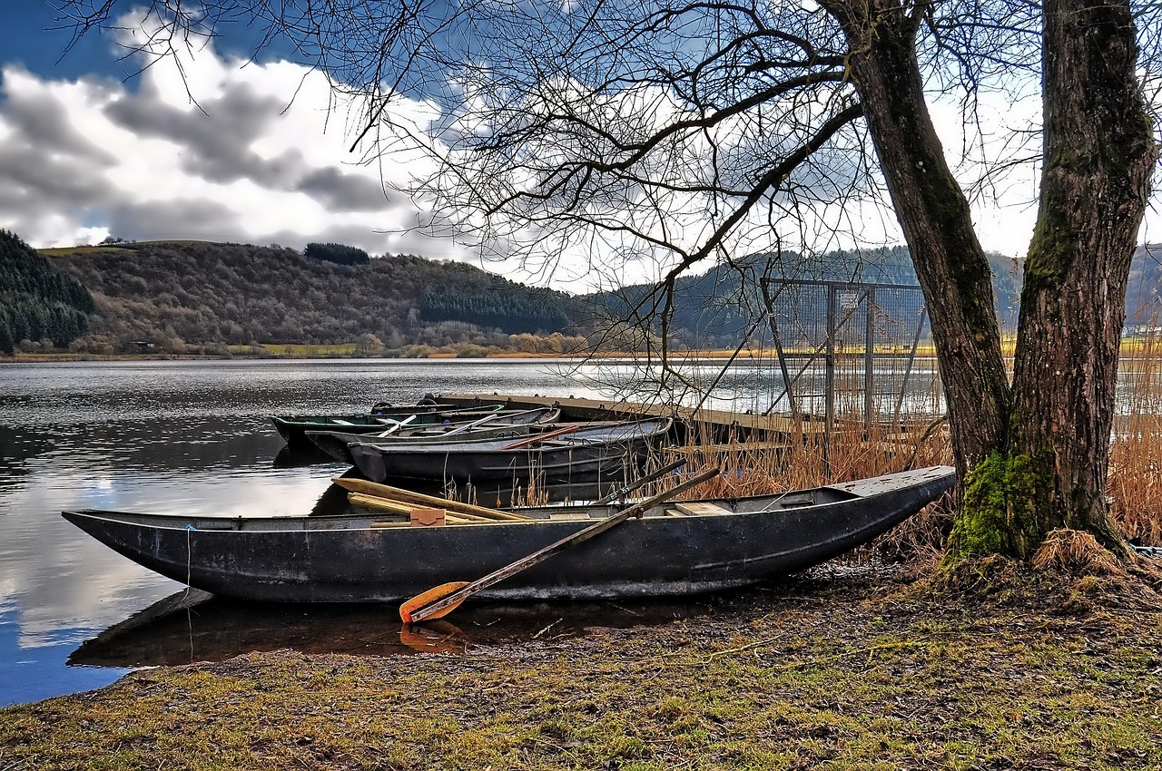 基金股票最新动态,市场走势分析与投资建议