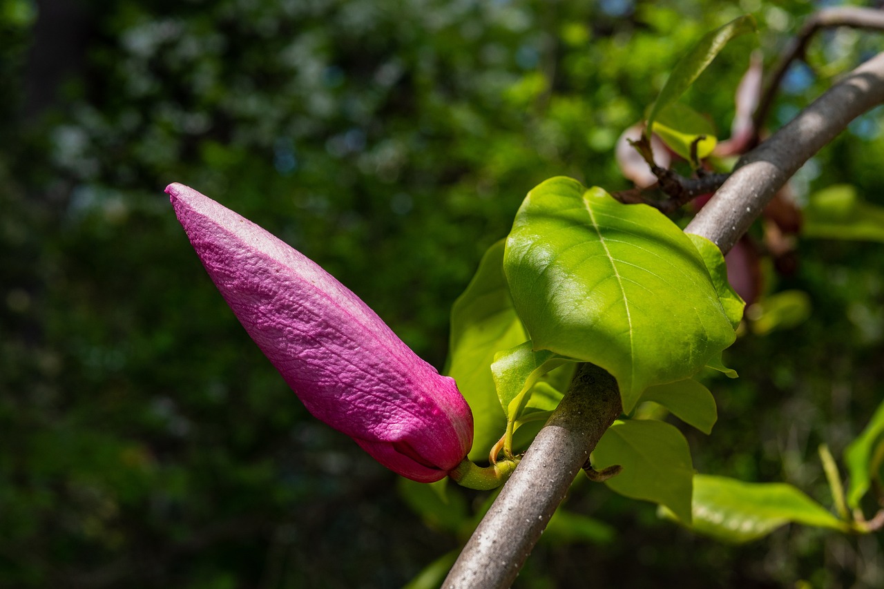 台风第17号实时路径动态分析与最新报告