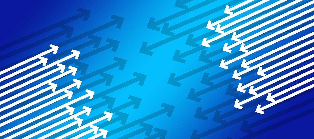 玛卡市场走势分析,行情、影响因素与前景展望