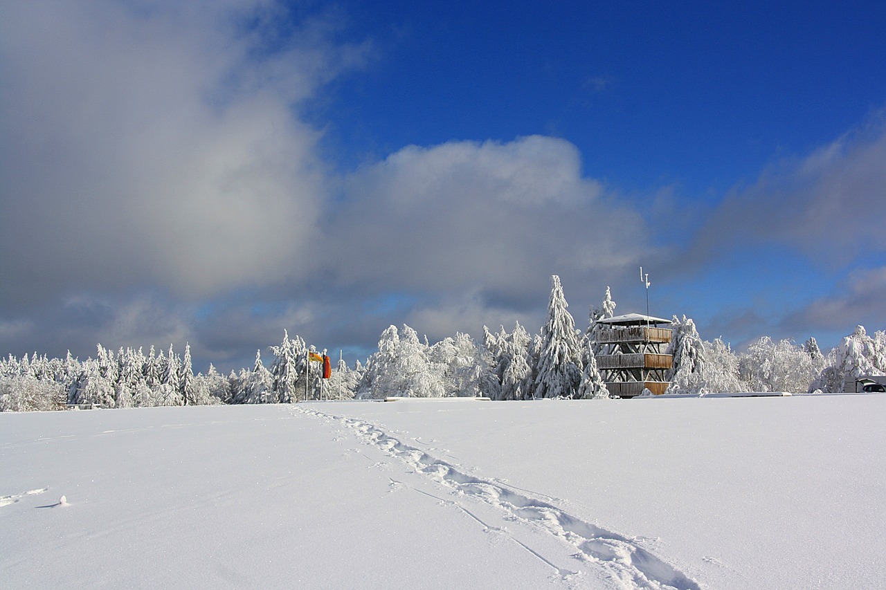 鞍重股份积极布局未来，展现强劲发展势头，最新动态速递