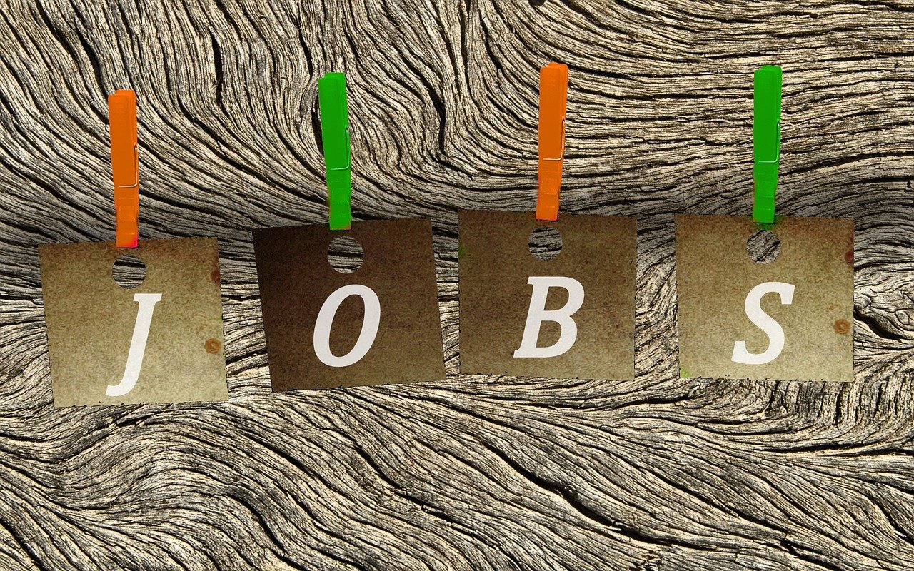 日照最新招聘信息概览,最新职位与招聘动态更新