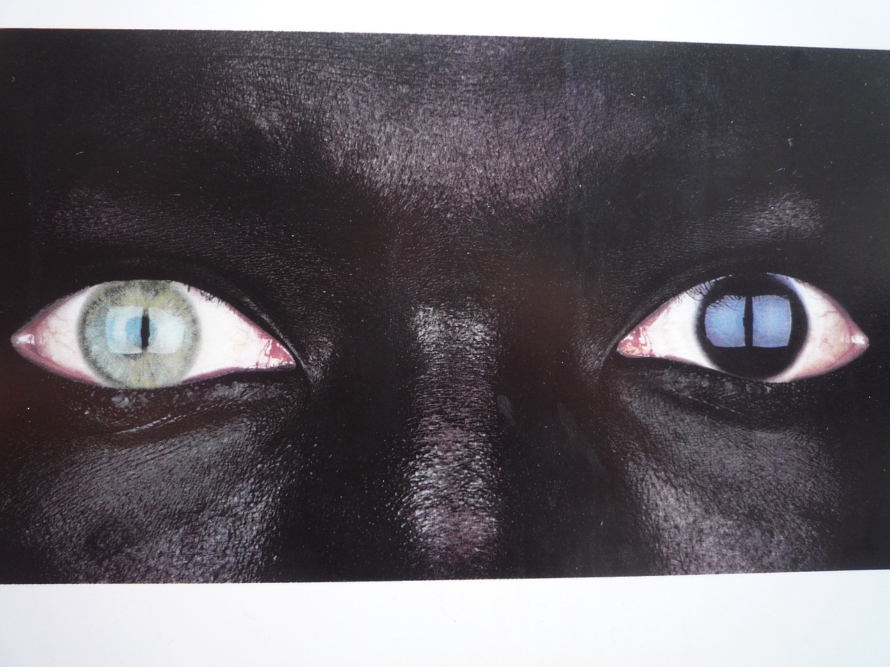 现代绣眉技艺，时尚与艺术的完美融合分享