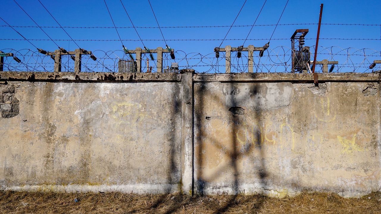 威海卓达集团迈向新征程，引领行业新潮流的动态更新