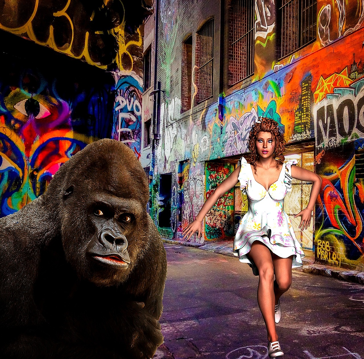 二次元头像动漫,魅力与影响力的探索