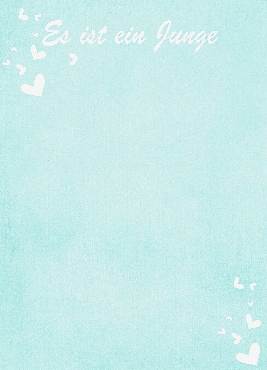 曹璐最新动态，娱乐圈新篇章闪耀登场