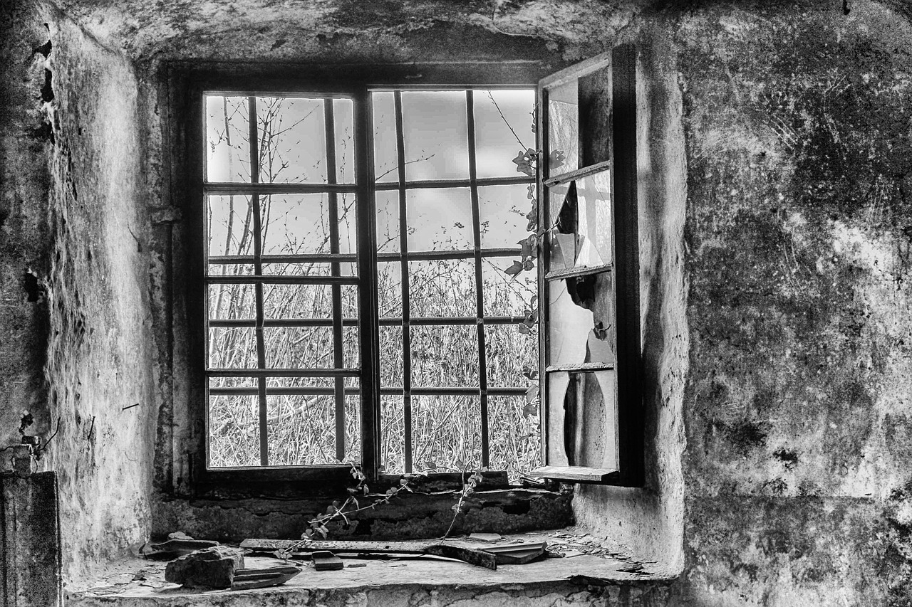 全球疫情最新动态,疫源消息更新与未来展望