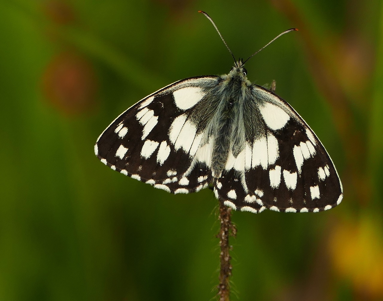 南沙时代天逸最新价格动态与市场影响力揭秘