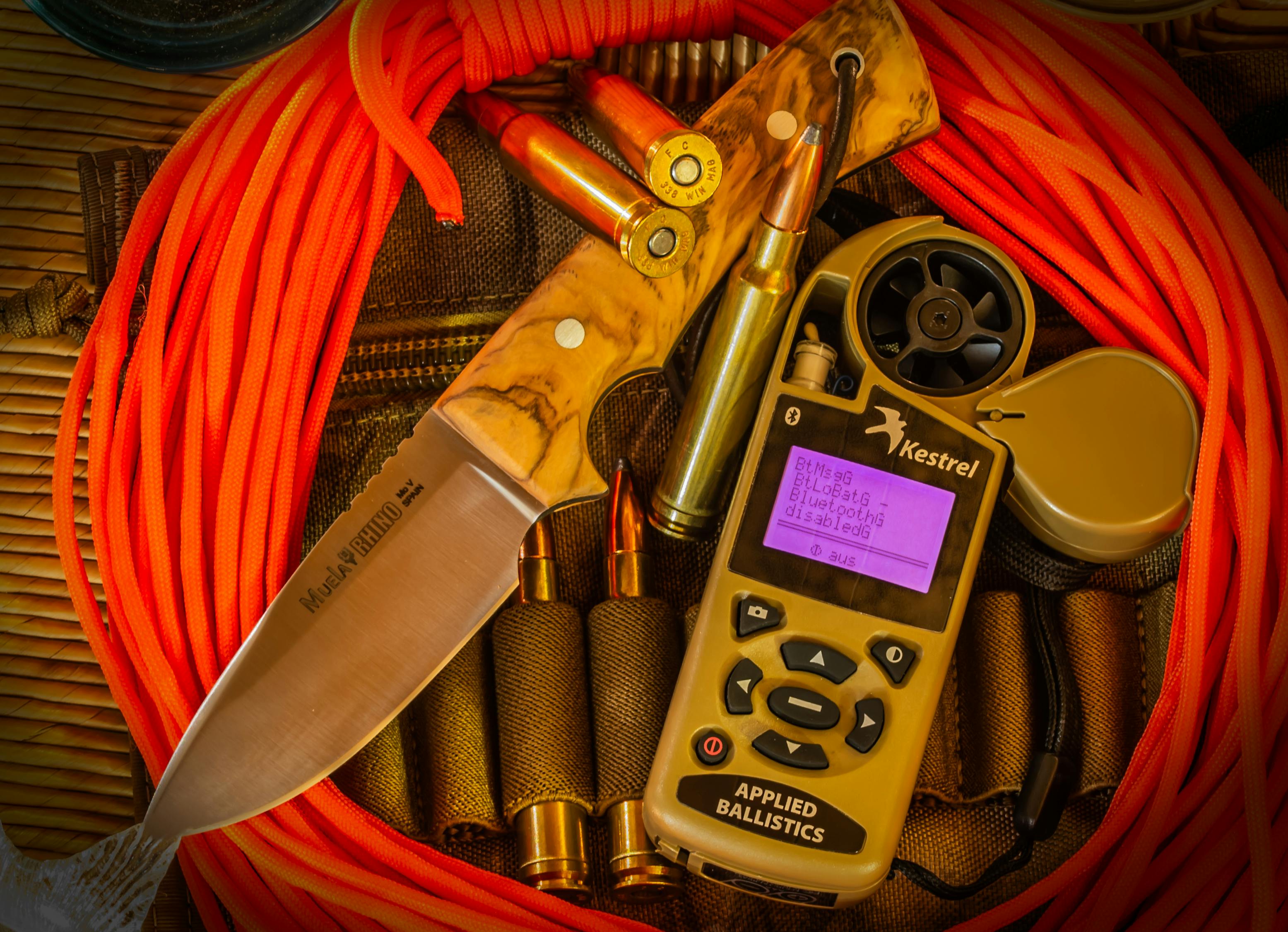 吉林疫情最新动态,坚定信心,共克时艰,共抗疫情新增挑战