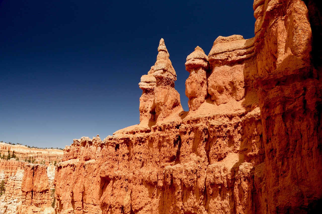 美莎克最新视频探索，启示与发现之旅